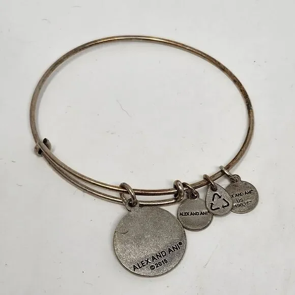 ALEX and ANI Las Vegas Bangle Bracelet Silver Tone - Picture 4 of 6